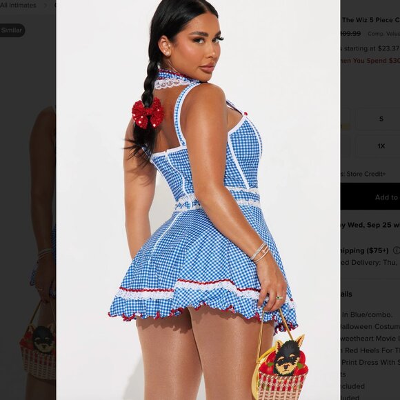 Brand New Dorothy Wizard of Oz Costume - Picture 3 of 4